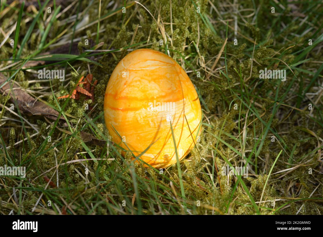 Gelb gefärbtes Osterei im moosigen Gras Stockfoto