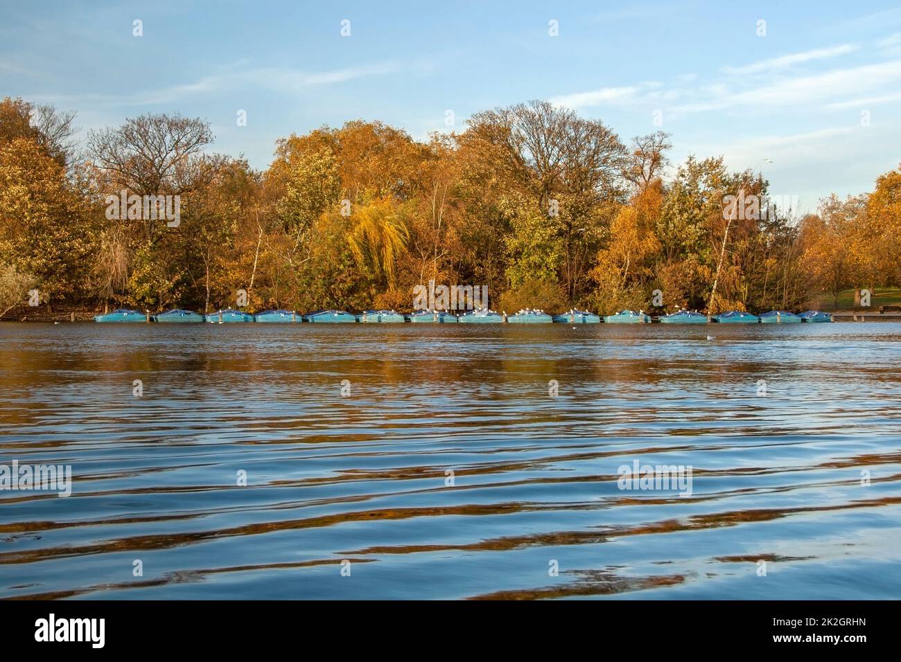 Ruhigen See Oberfläche, nur kleine Wellen, Reihe der Blauen Boote, Möwen auf ihnen sitzen, Herbst bunte Bäume und Himmel im Hintergrund. Stockfoto