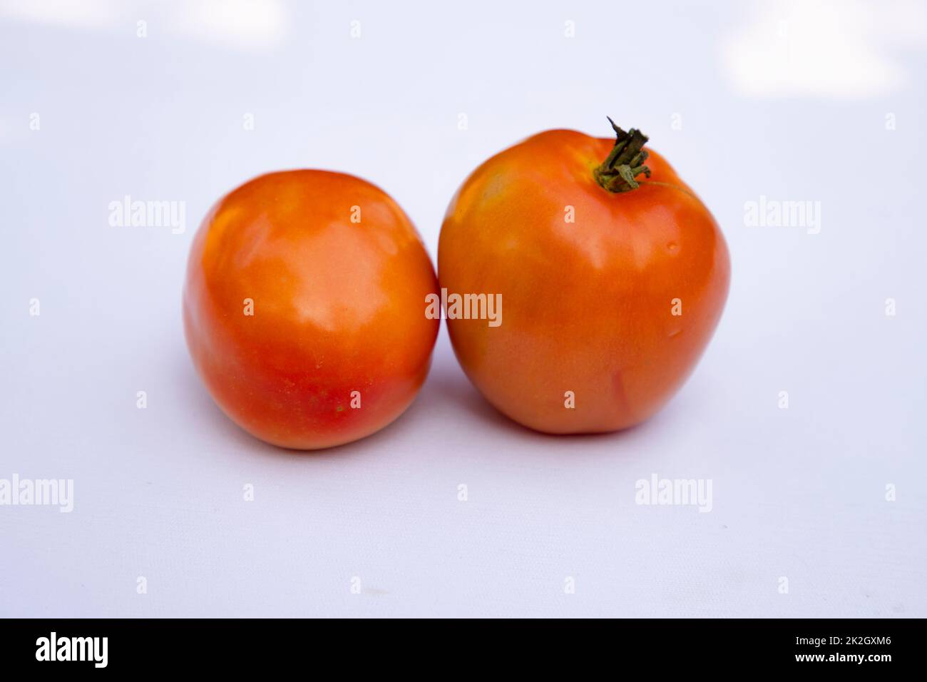 Zwei reife rote Tomaten, isoliert im Hintergrund Stockfoto