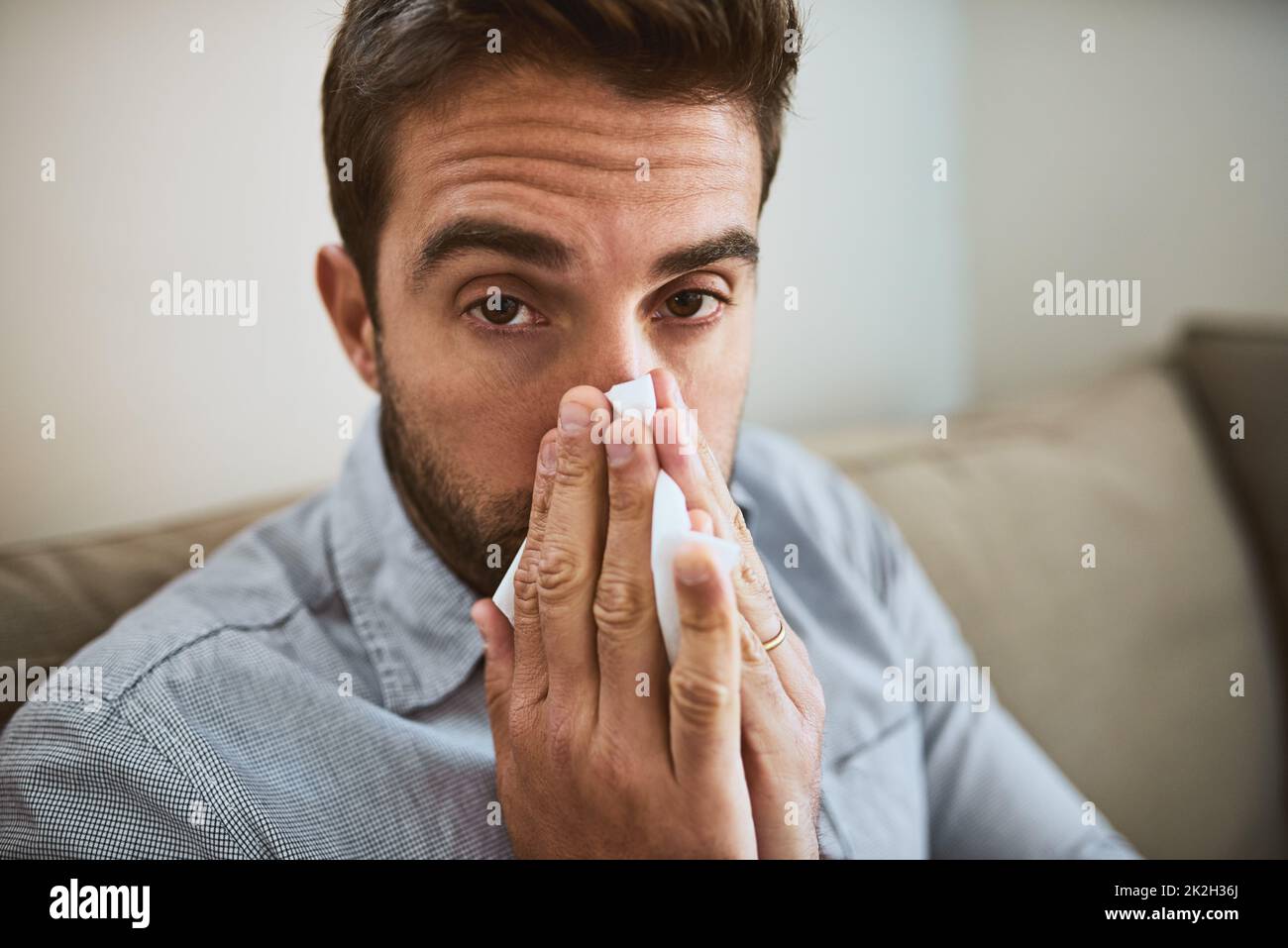 Ich habe wirklich keine Lust, zur Arbeit zu gehen. Porträt eines unbequem aussehenden jungen Mannes, der in ein Gewebe niest, während er zu Hause auf einer Couch sitzt. Stockfoto