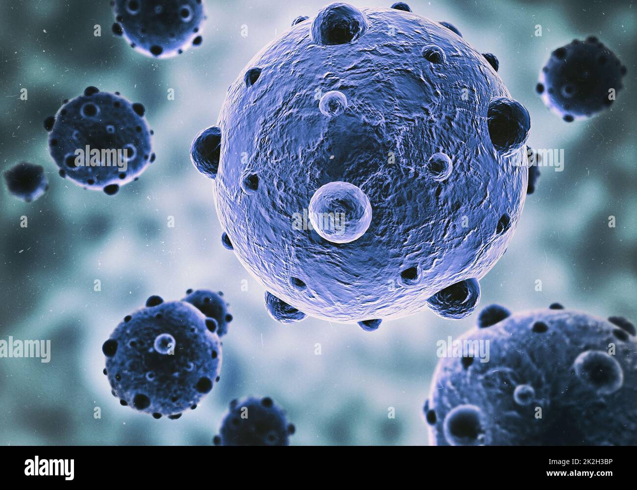 Mikrobielle Invasion. Aufnahme von Bakterien unter dem Mikroskop. Stockfoto