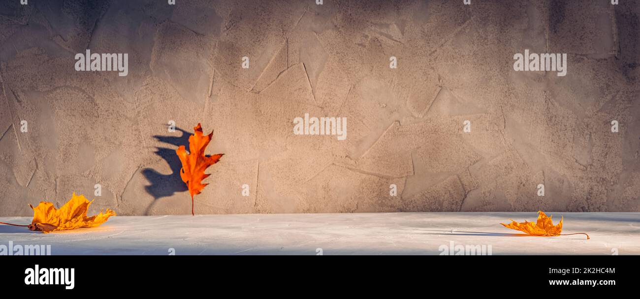 Leere grau strukturierte Beton Stein Podium Hintergrund mit Kopie Raum oder Produkt Platz mit herbstlichen Blätter fallen auf sie Stockfoto