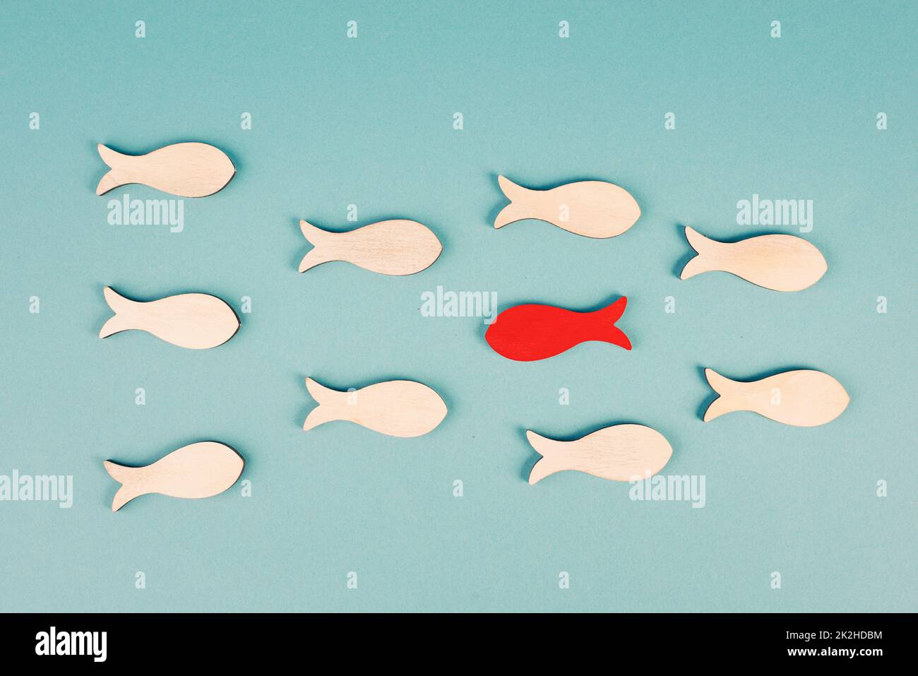 Ein roter Fisch schwimmt gegen den Strom, in entgegengesetzter Richtung der anderen Fische, ist anders, Führung und Denkweise Konzept Stockfoto
