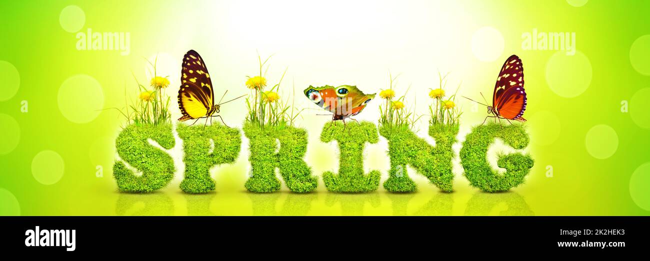Frühlings- und Sommerpanorama mit Wort Frühling. Stockfoto