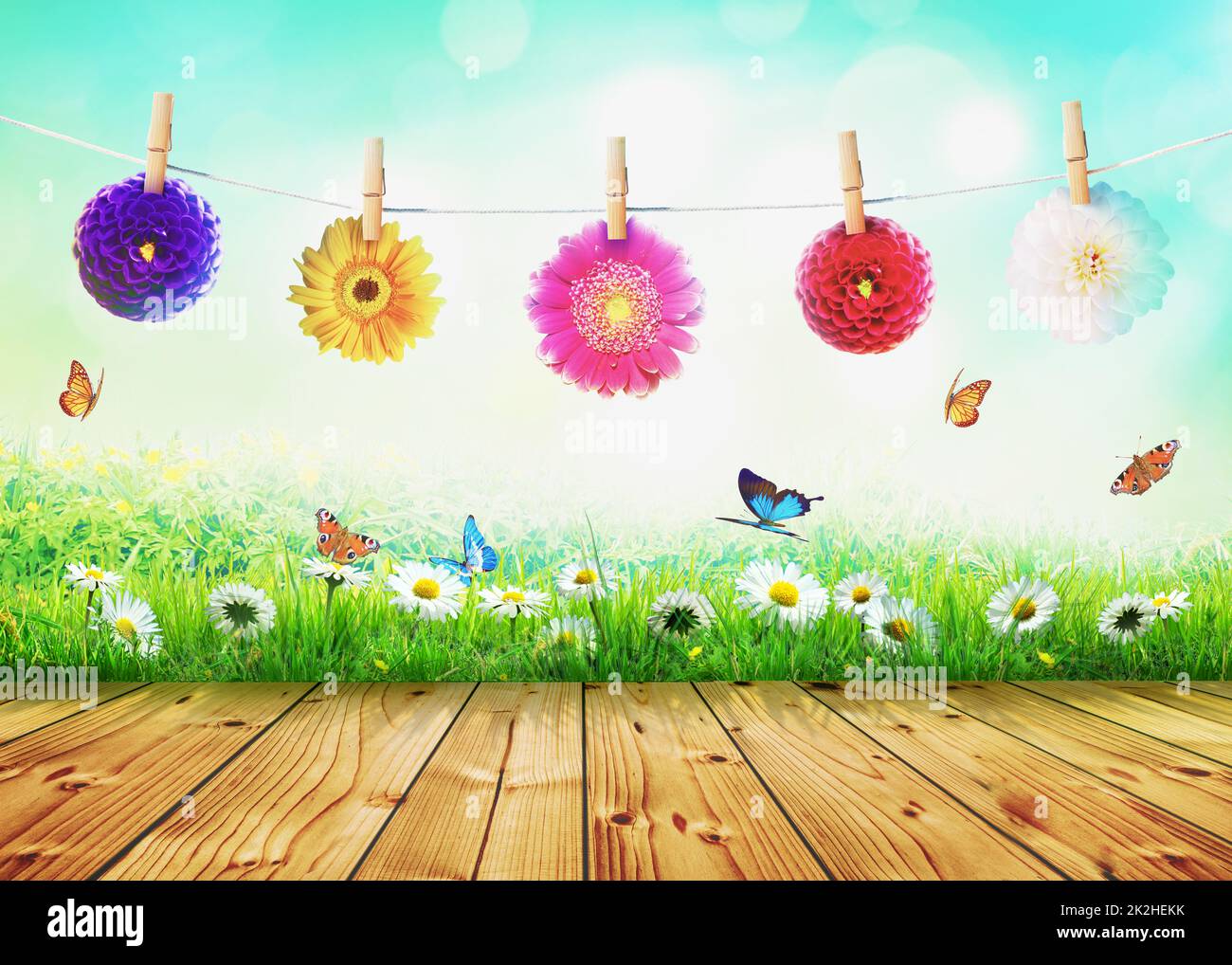 Frühling- und Sommerpanorama mit Gerbera-Blume. Stockfoto