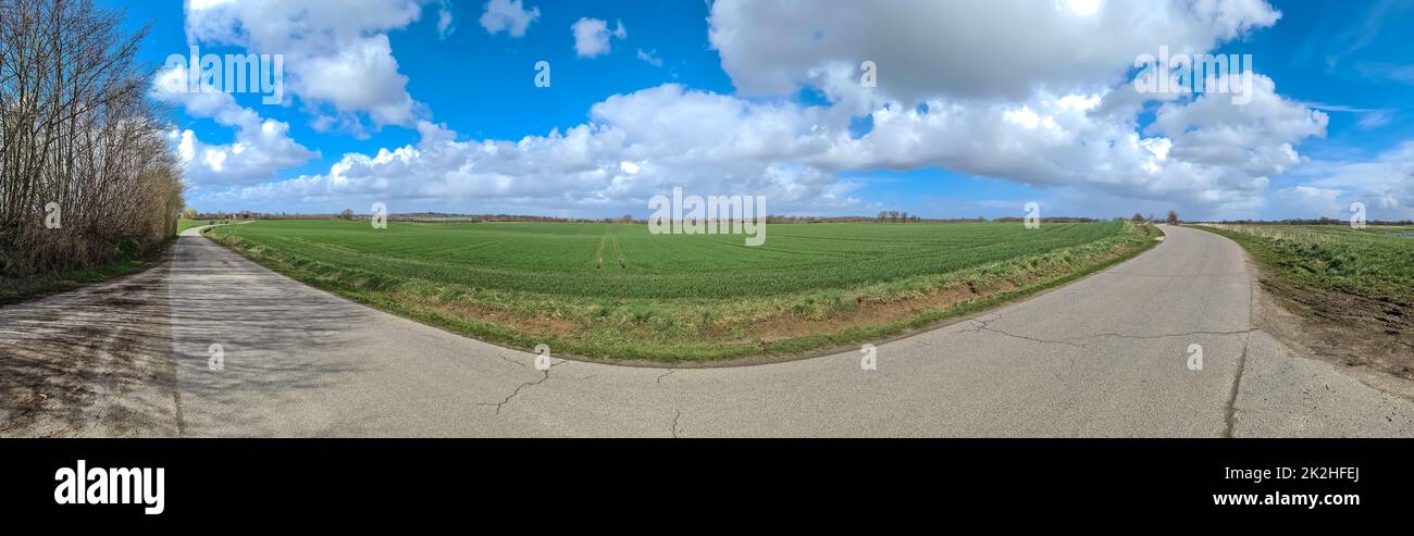 Panorama einer nordeuropäischen Landschaftslandschaft mit Feldern und grünem Gras Stockfoto