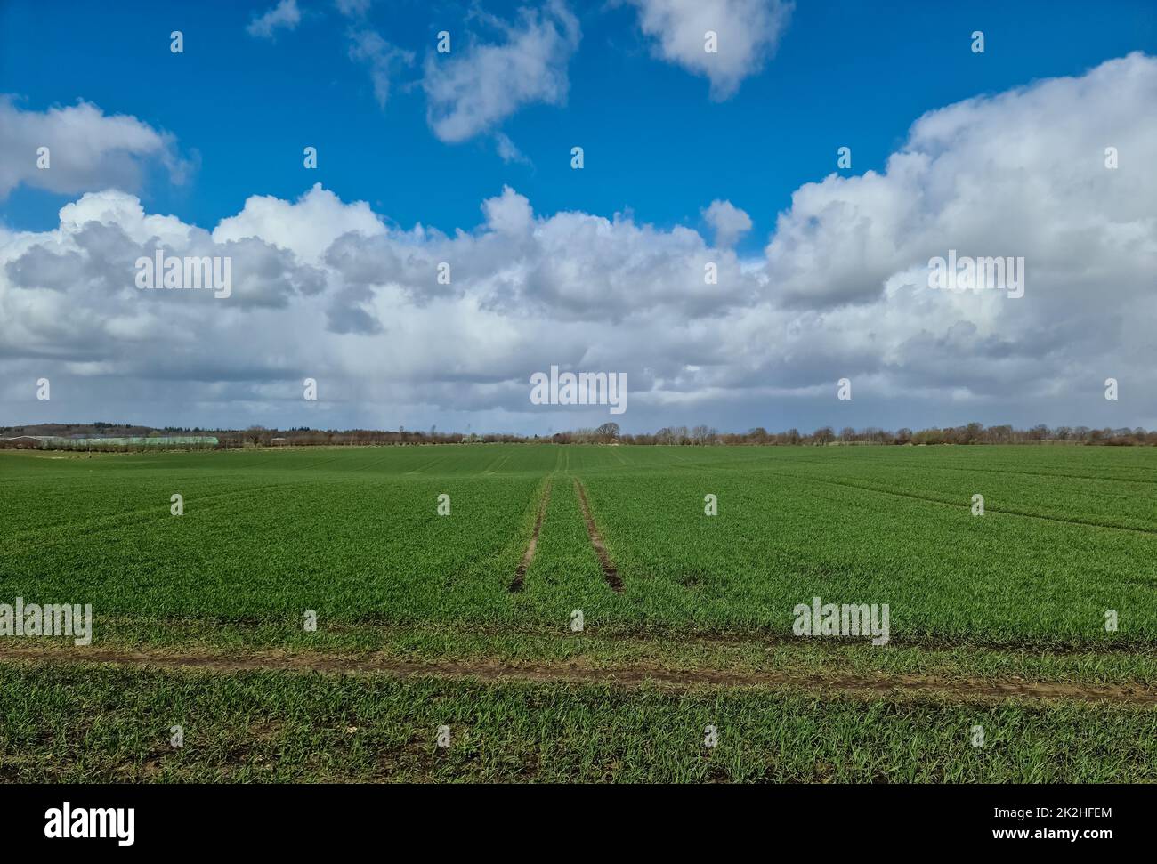 Panorama einer nordeuropäischen Landschaftslandschaft mit Feldern und grünem Gras Stockfoto