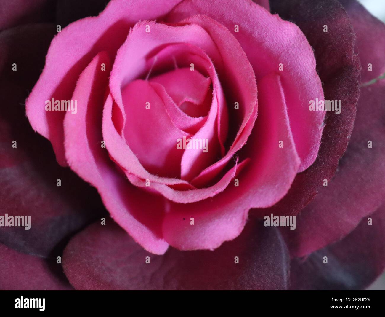 Schöne rosa Blume Kunstpflanze sehr gut erreicht Nachahmung Stockfoto