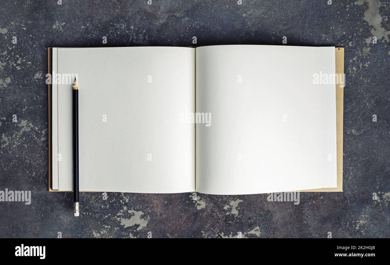Buch und Stift Stockfoto