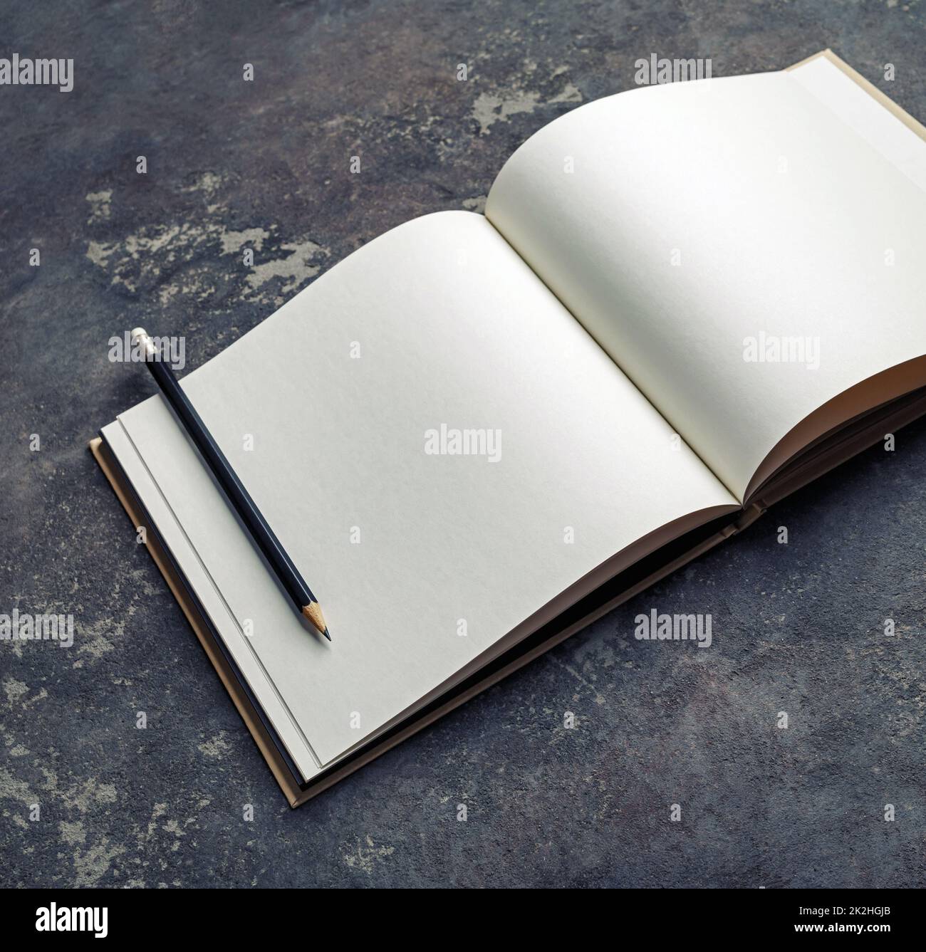 Leere Broschüre geöffnet Stockfoto
