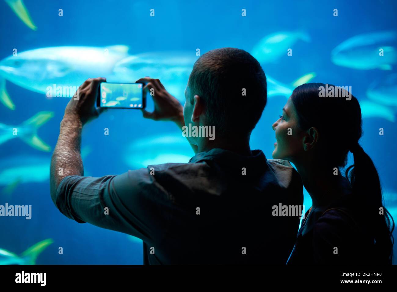 Schnappschüsse aus dem Meer. Aufnahme eines jungen Paares, das einen Schnappschuss der Fische in einem Aquarium gemacht hat. Stockfoto