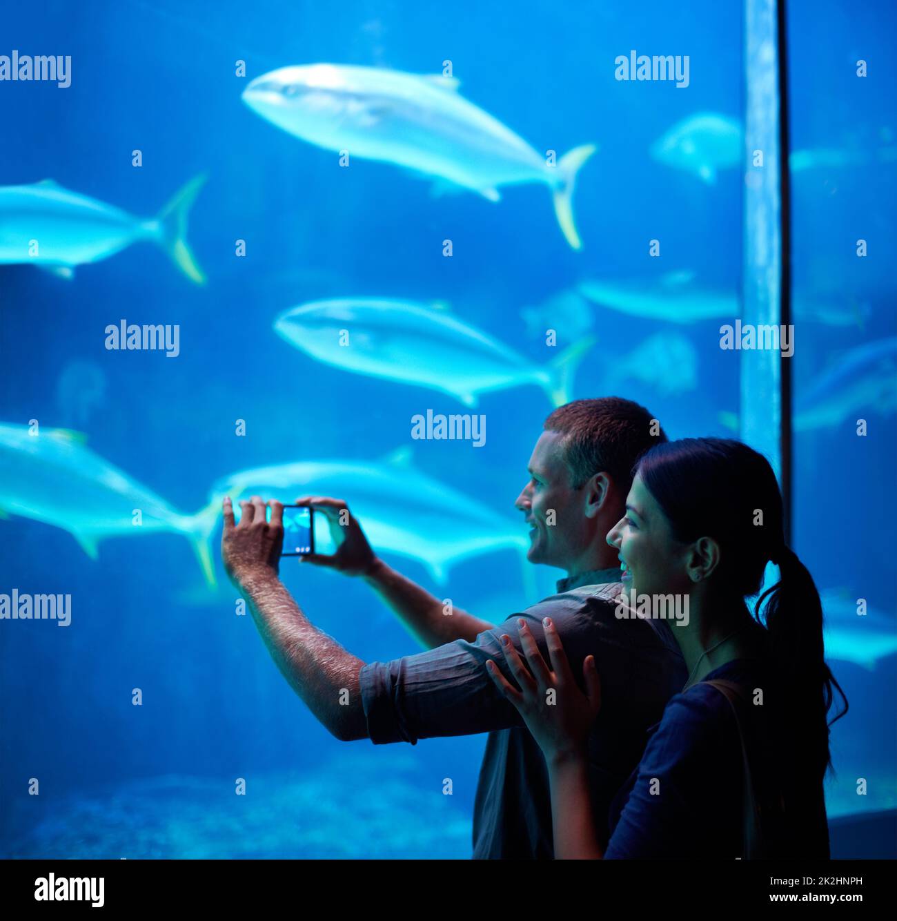 Aufnahmen von Meereserinnerungen. Aufnahme eines jungen Paares, das einen Schnappschuss der Fische in einem Aquarium gemacht hat. Stockfoto