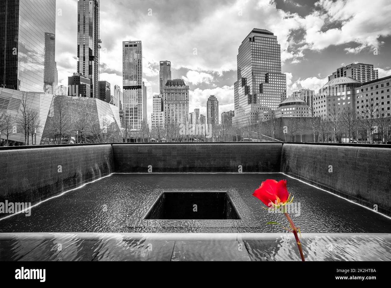 Blick auf New York City Ground Zero in Schwarz und Weiß mit roter Rose Stockfoto