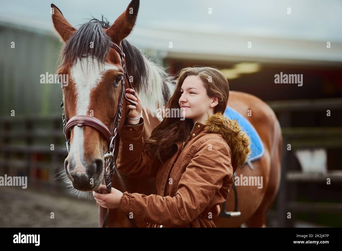 Ihr Pony, ihre erste Liebe. Aufnahme eines Teenagers, das neben ihrem Pony auf einer Farm steht. Stockfoto