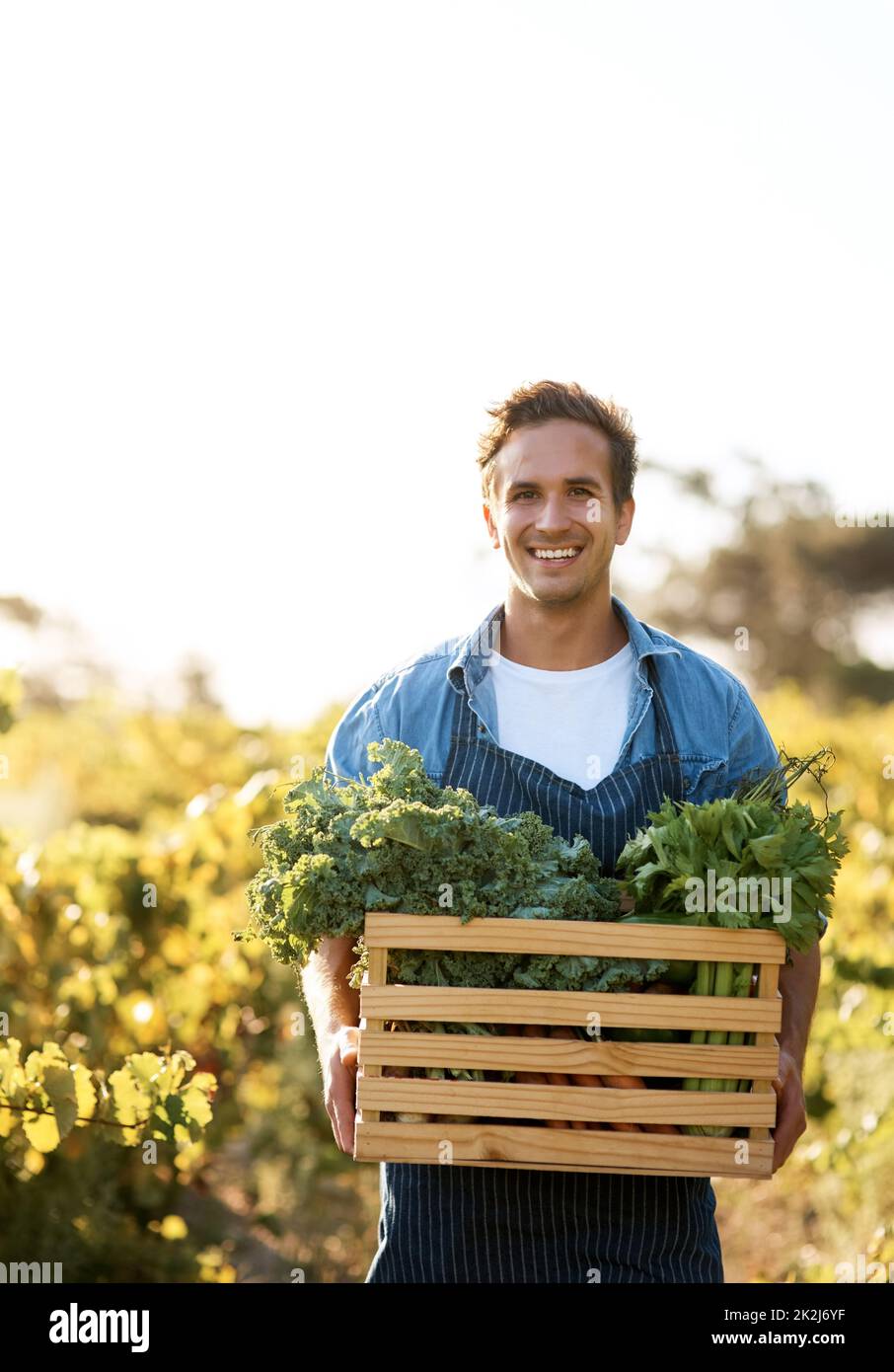 Ich liefere gesunde Lebensmittel zu einem sehr erschwinglichen Preis Stockfoto