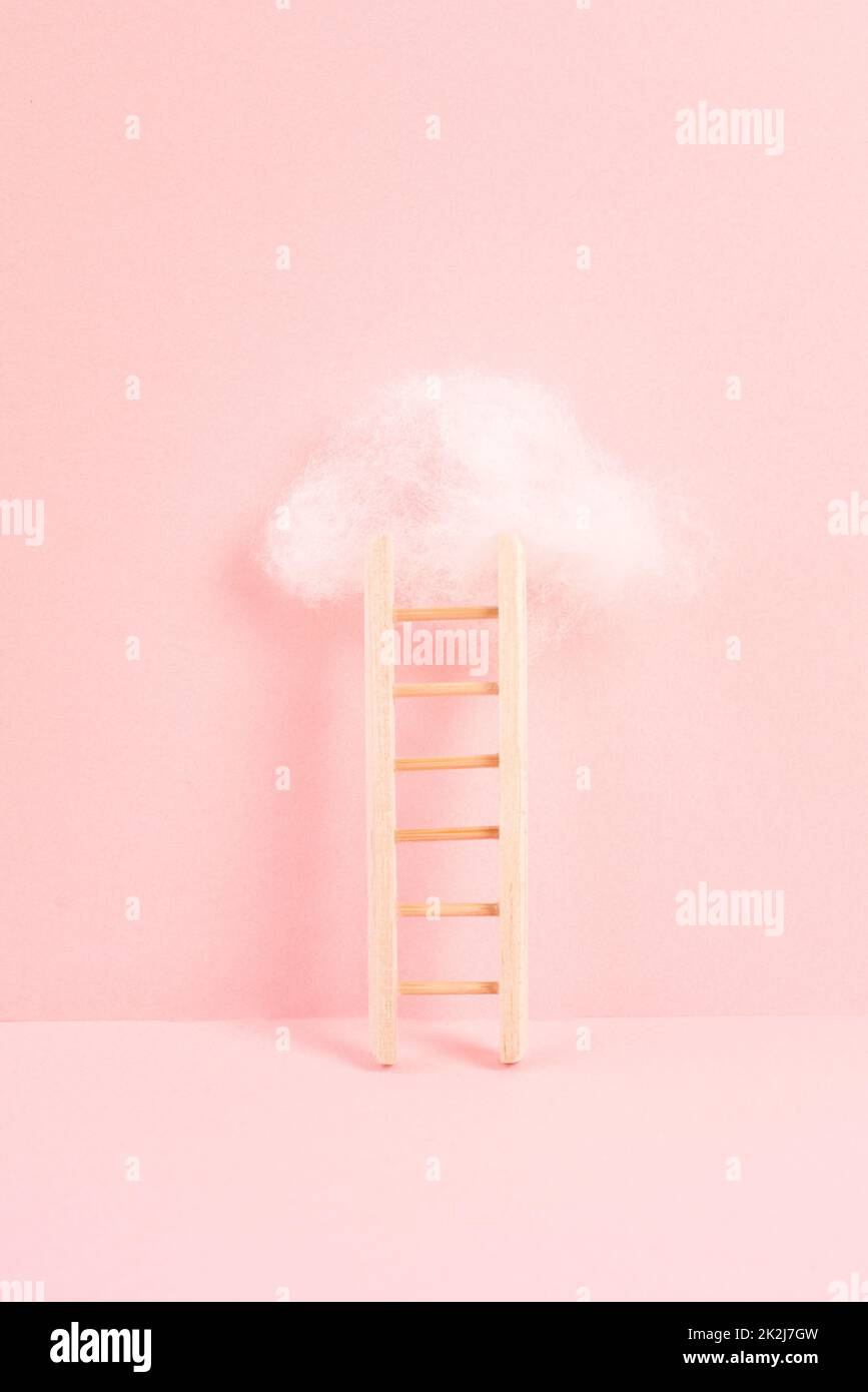 Leiter mit einer Wolke auf der Oberseite, rosa rosa rosa Hintergrund, kopieren Raum, träumen von Erfolg, kreative und Geschäftskonzept, neue Ziele zu erreichen Stockfoto
