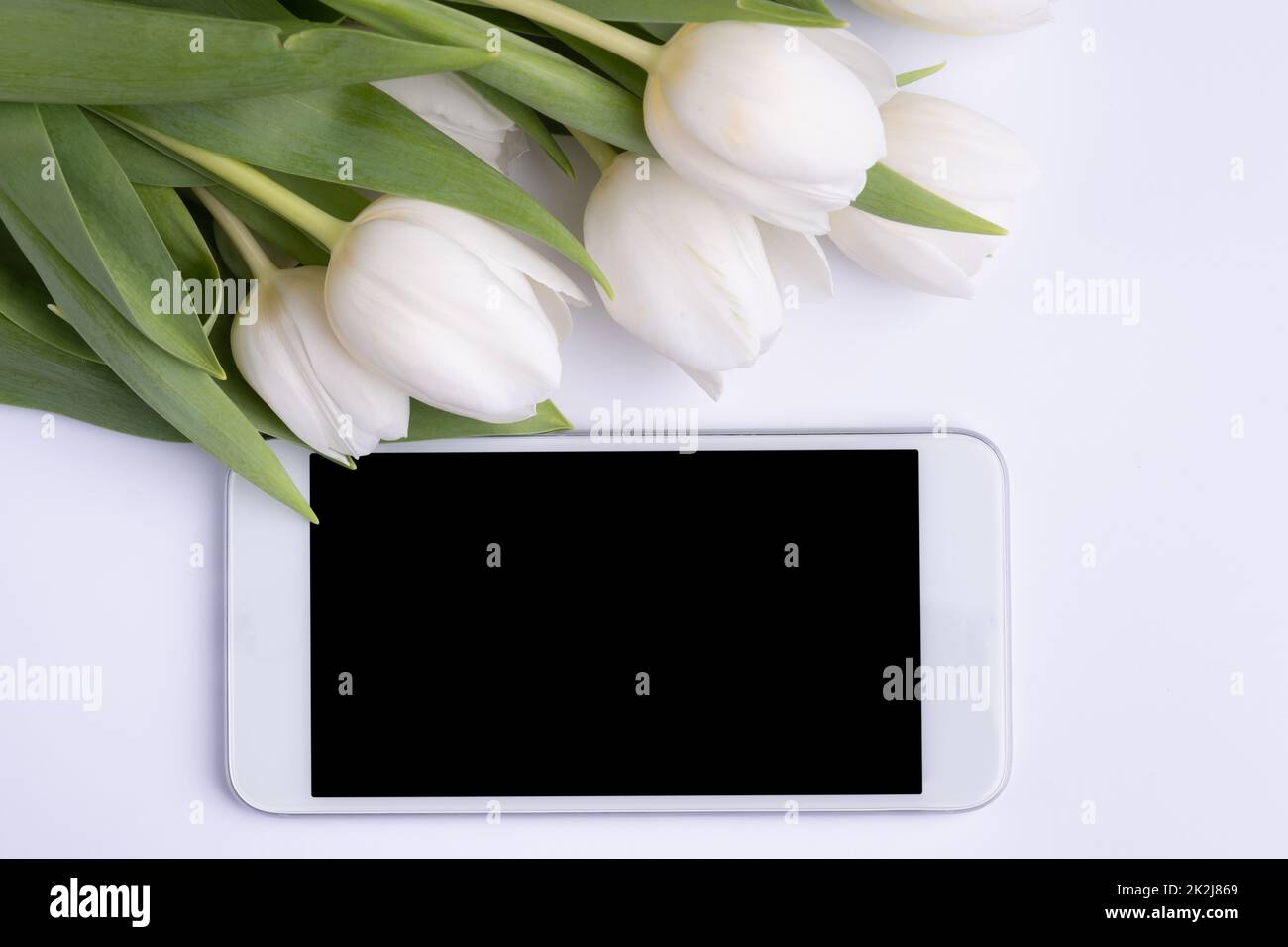 Smartphone-Modell und weiße Blumen. Modell für Blumengeschäfte. Frühling Stockfoto