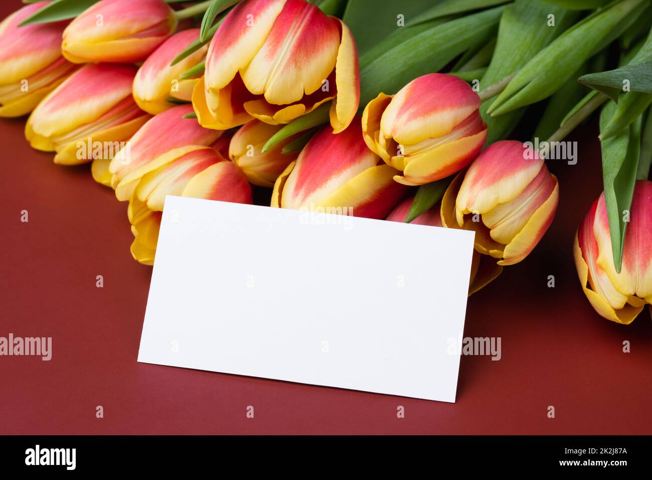 Sauberes, minimales Visitenkartenmockup mit Tulpenstrauß Stockfoto
