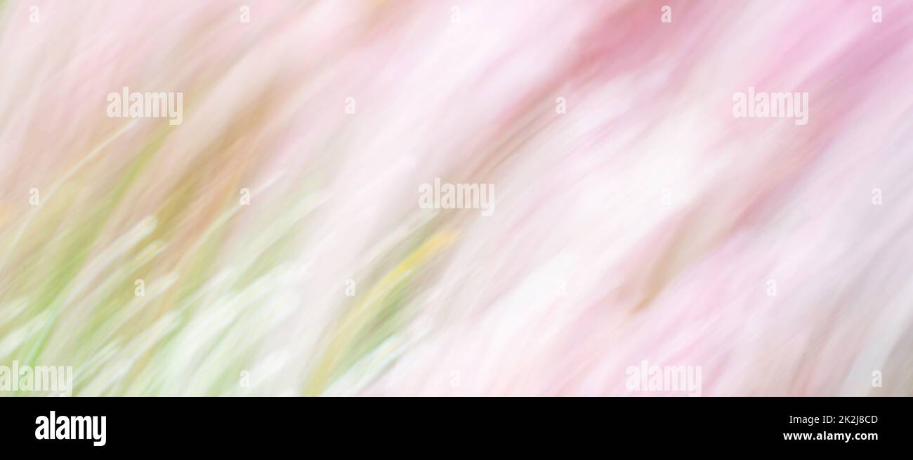 Weicher, verschwommener rosa und grüner Hintergrund, Frühling und Sommer, Pastellfarben, unscharfe abstrakte Textur, Grußkarte Stockfoto
