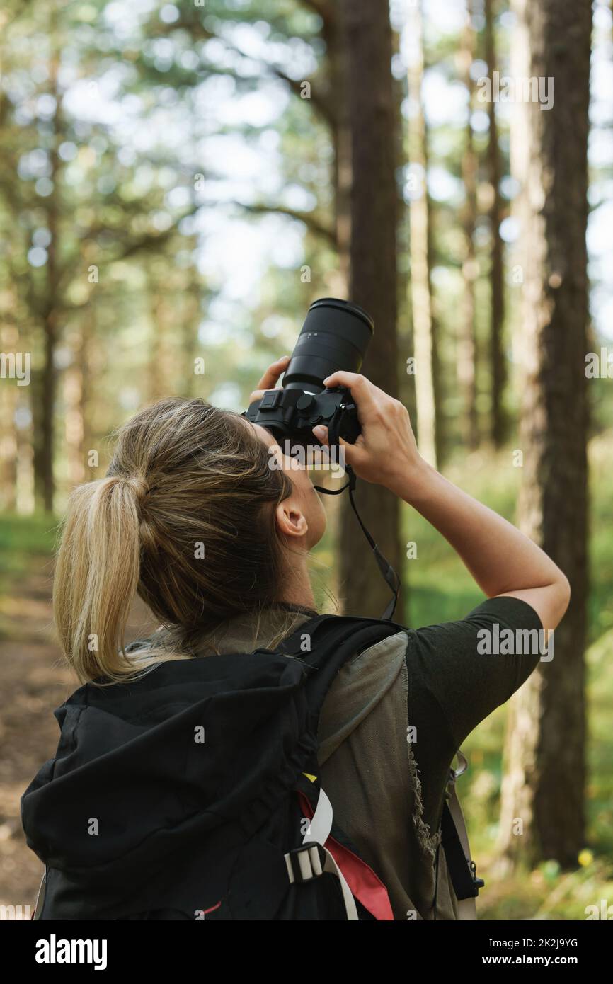 Wanderer fotografiert mit einer modernen spiegellosen Kamera im grünen Wald Stockfoto