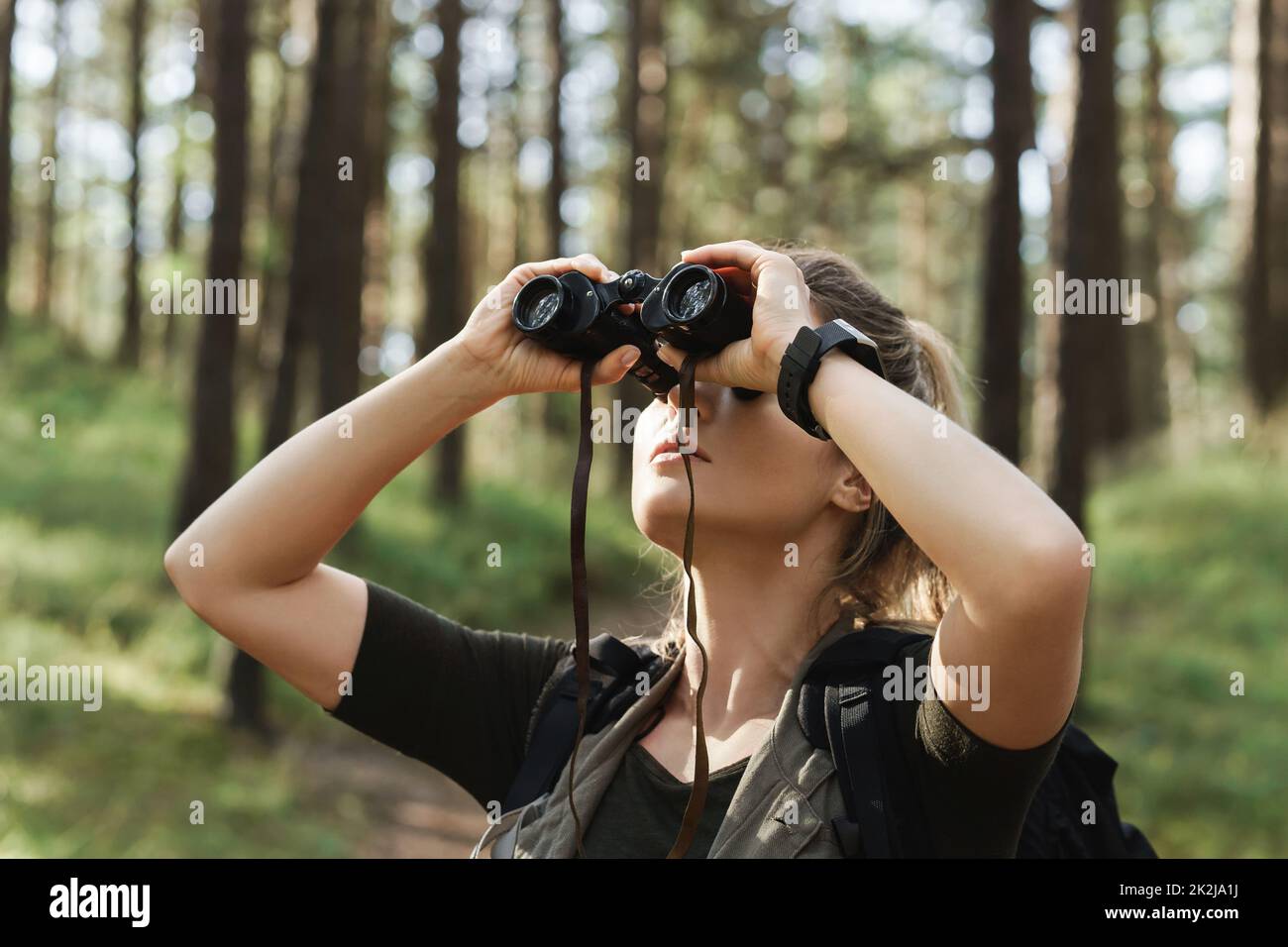 Die Wanderin verwendet ein Fernglas zur Vogelbeobachtung im grünen Wald Stockfoto