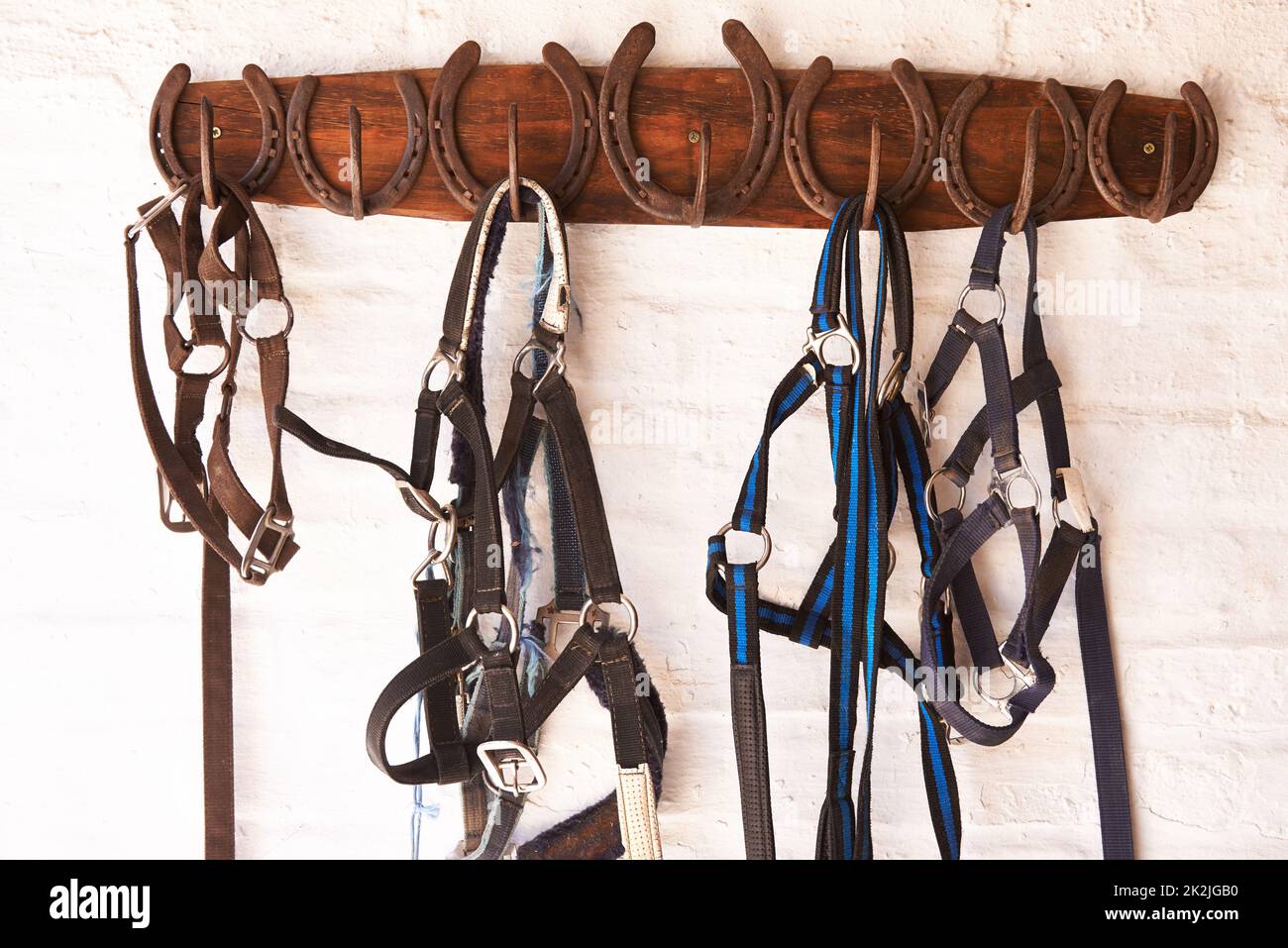 Alles an seinem Platz. Aufnahme eines an einer Wand hängenden Reithandes. Stockfoto