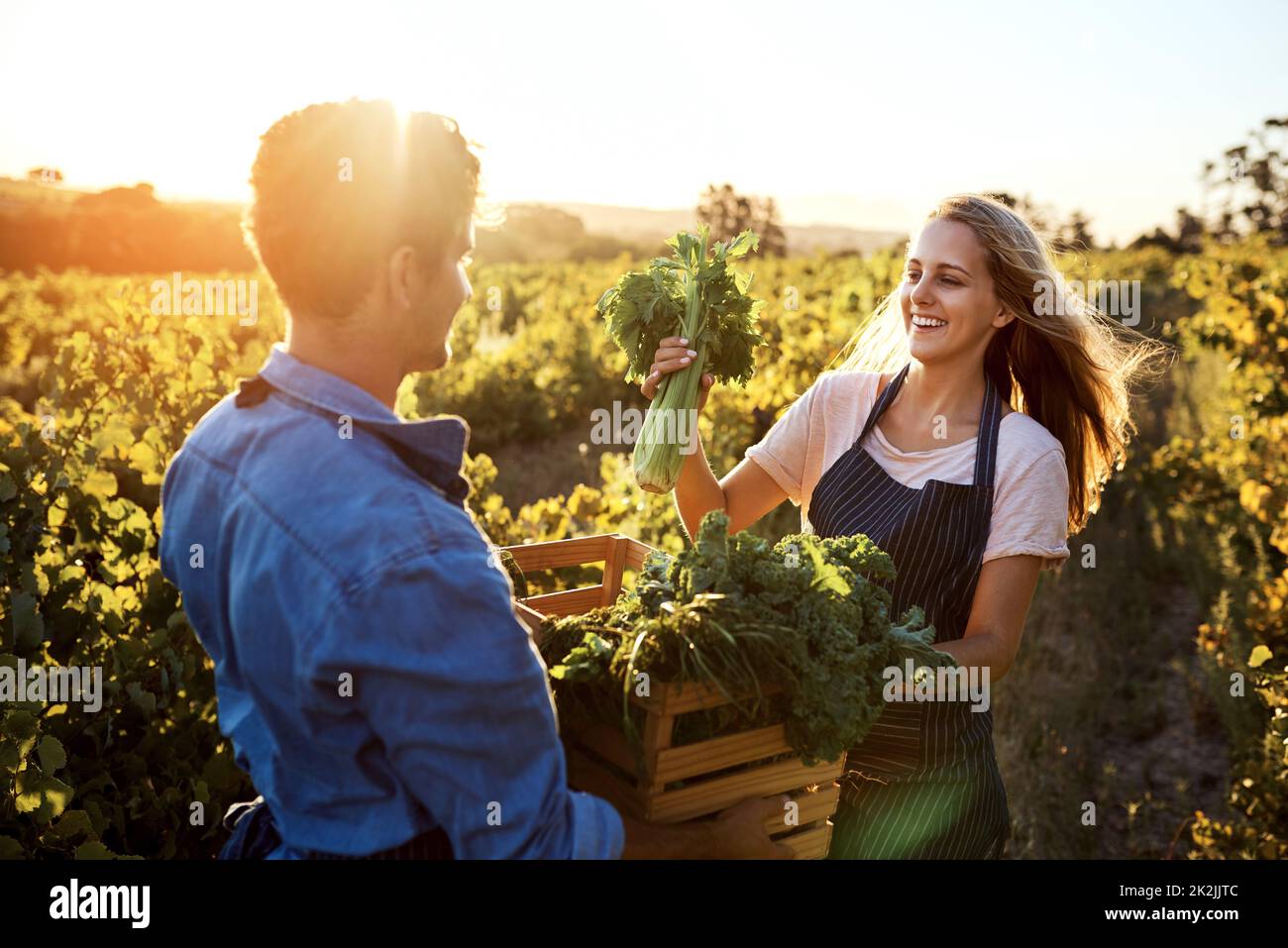Ich überlasse diese Euch. Eine kleine Aufnahme eines hübschen jungen Mannes und einer attraktiven jungen Frau, die auf einem Bauernhof zusammenarbeiten. Stockfoto