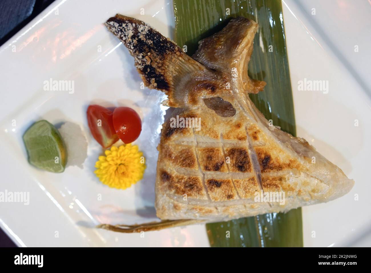 Hamachi Kama Shio serviert auf weißem Teller mit Zitrone und Tomaten. Holzkohle gegrillte Hamachi Fischbäche mit Salz. Japanische Kochtechnik: Shioyaki Stockfoto