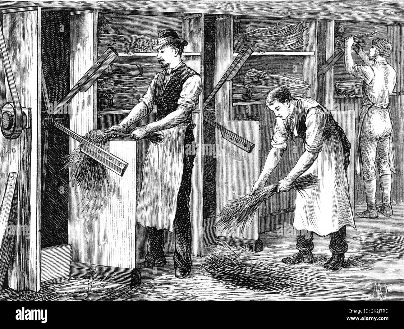Durch maschinelles Schlagen der Stiele Flachs abputzen oder andocken. Die langen Fasern der Stammflachsfabrik (Linum) wurden zu Leinen verarbeitet. Stich aus 'Great Industries of Great Britain' (London, c1880). Stockfoto