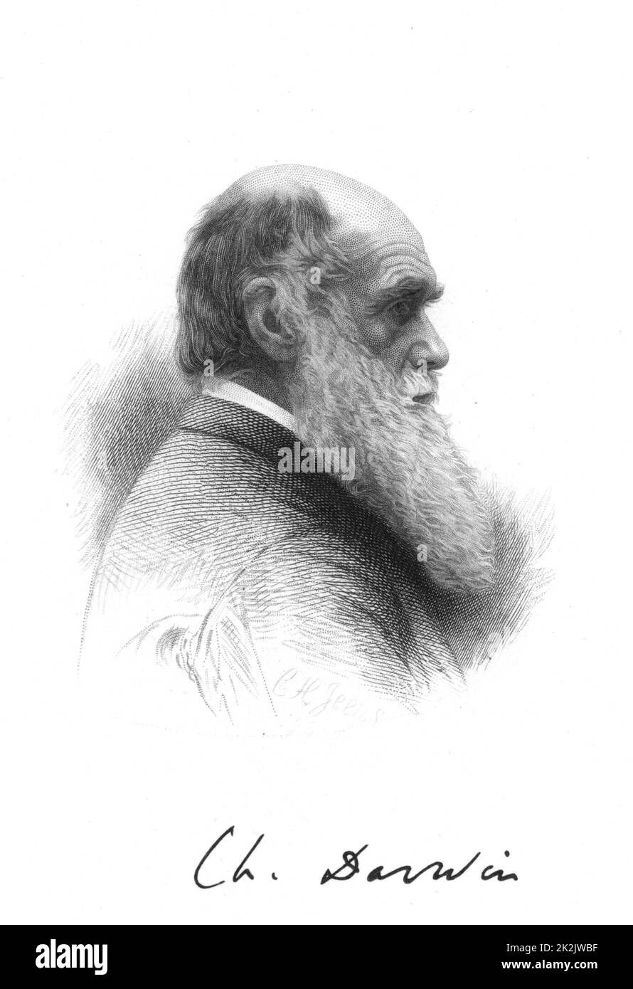 Englische Naturforscher Charles Darwin (1809-1882). Ein Pionier der Theorie der Evolution durch natürliche Selektion. Gravur und Unterschrift Stockfoto