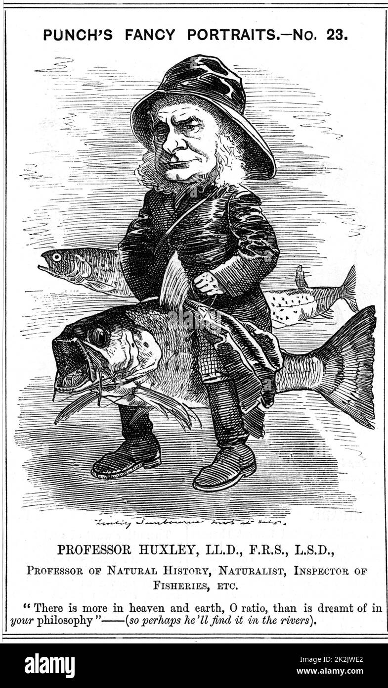 Thomas Henry Huxley (1825-1895) zu der Zeit war er Inspektor der Fischerei (1881-85). Cartoon von Edward Linley Sambourne im Fancy Portrait-Serie von 'Lochen', London, 19. März 1881 Stockfoto