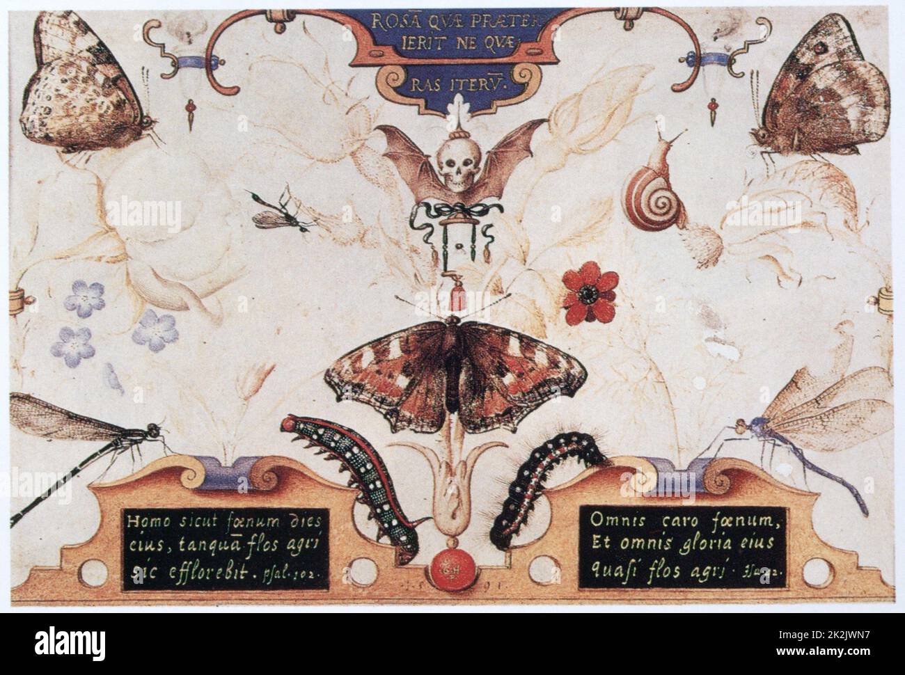 Joris Hoefnagel Flämische Schule Diptychon mit Blumen und Insekten 1591 Aquarell auf Pergament Lille, musée des Beaux-Arts Stockfoto