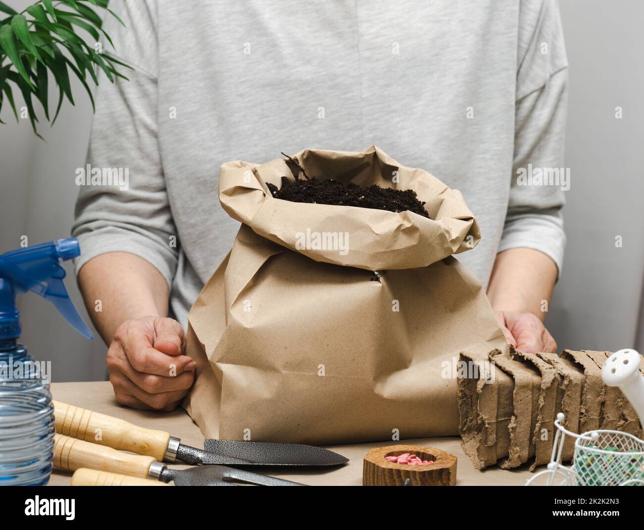 Eine Frau in grauer Kleidung hält einen Beutel Erde, um Samen in Papierbecher zu Pflanzen. Hobby und Freizeit Stockfoto