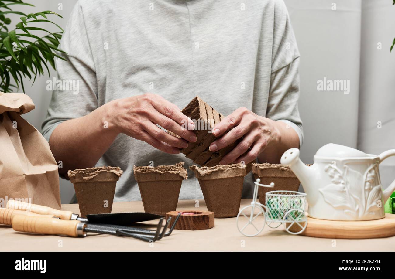 Frau zu Hause mit Pappbechern zum Pflanzen von Pflanzen und Gemüse. Hobby und Freizeit Stockfoto