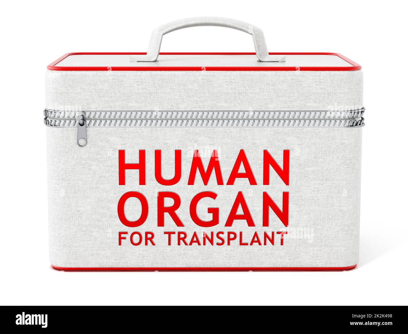 Menschliches Organ für die Transplantationsbox. 3D Abbildung Stockfoto