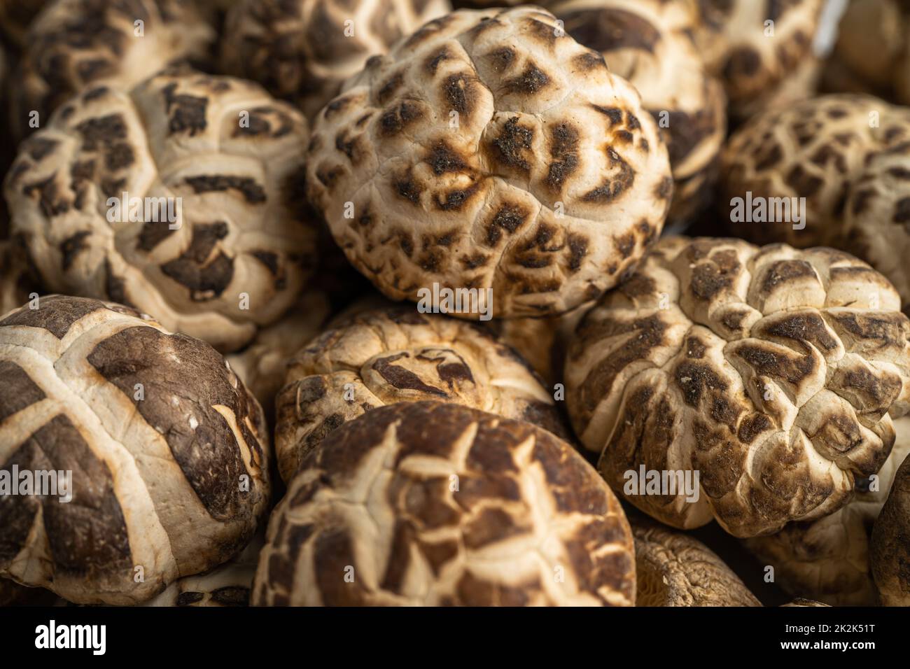 Getrockneter Shiitake-Pilz auf Holzgrund. Gesunde Ernährung. Stockfoto