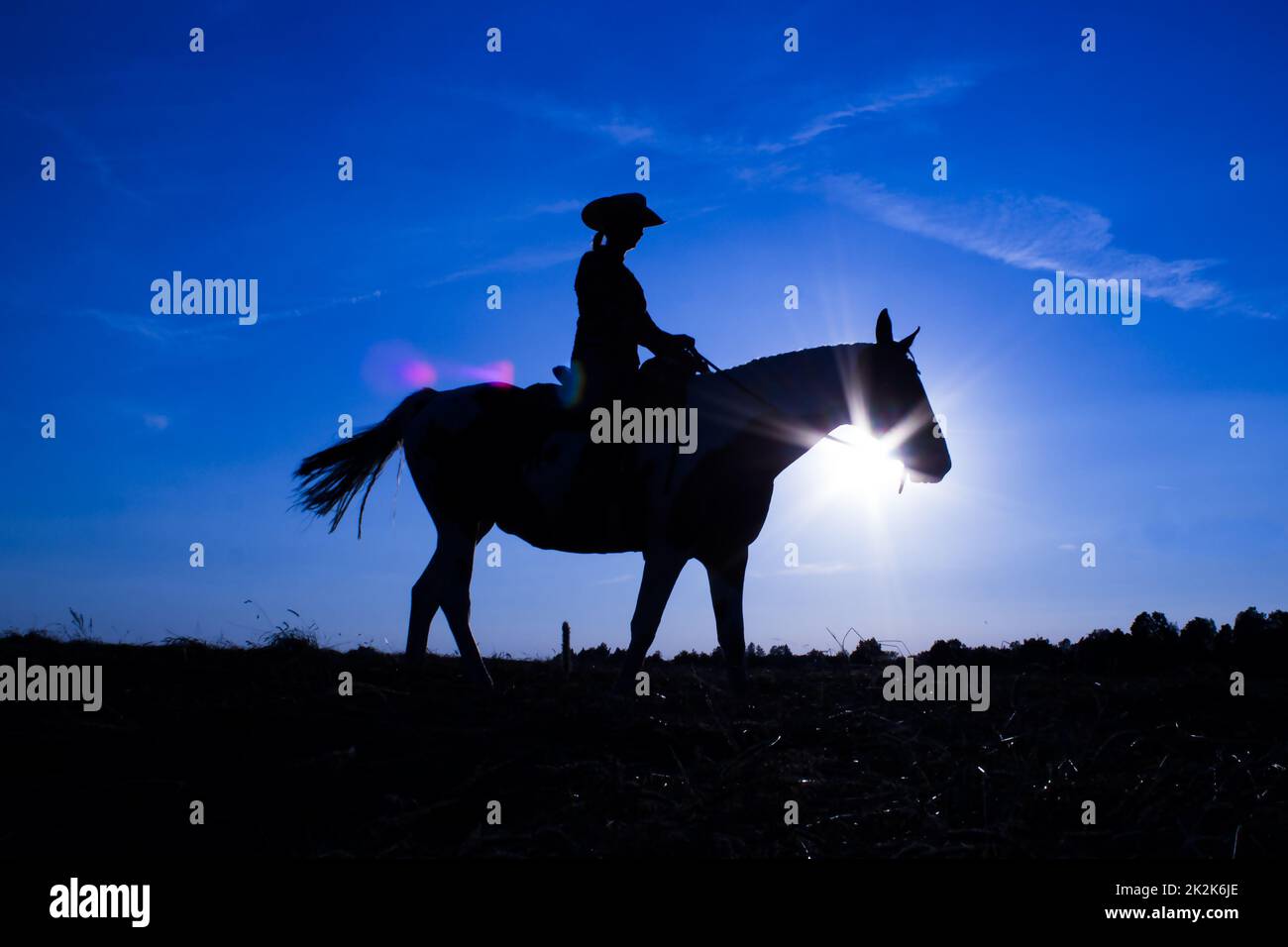 Silhouette Cowgirl on Horse at Sunset in Blue (12) Stockfoto