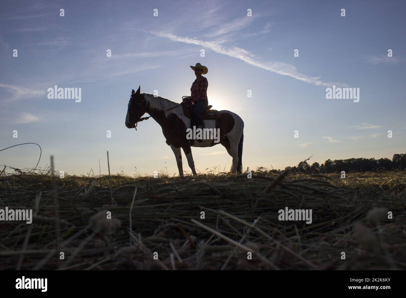 Silhouette Cowgirl auf Pferd bei Sonnenuntergang Stockfoto