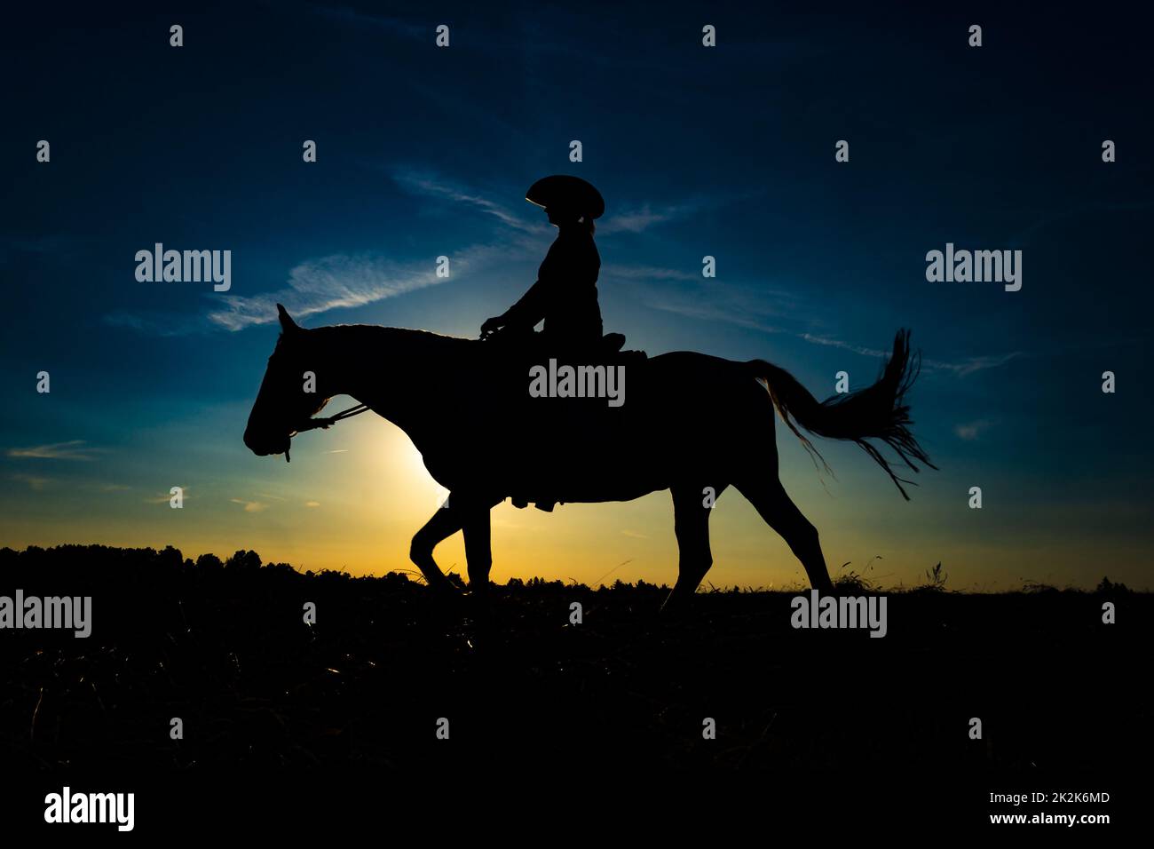 Silhouette Cowgirl auf Pferd bei Sonnenaufgang 1 Stockfoto