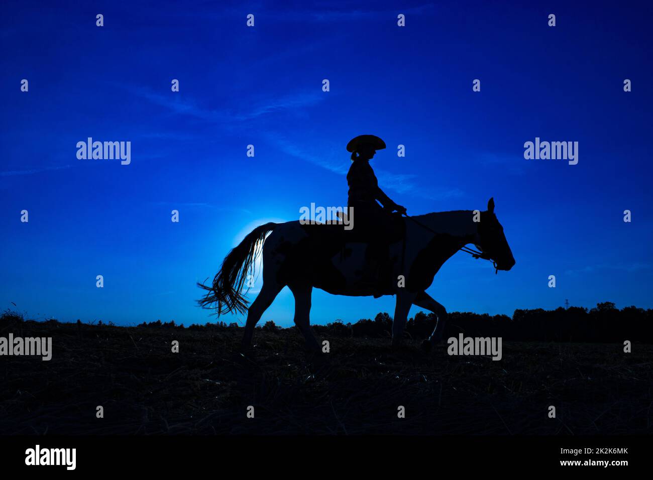 Silhouette Cowgirl on Horse at Sunrise in Blue (1) Stockfoto