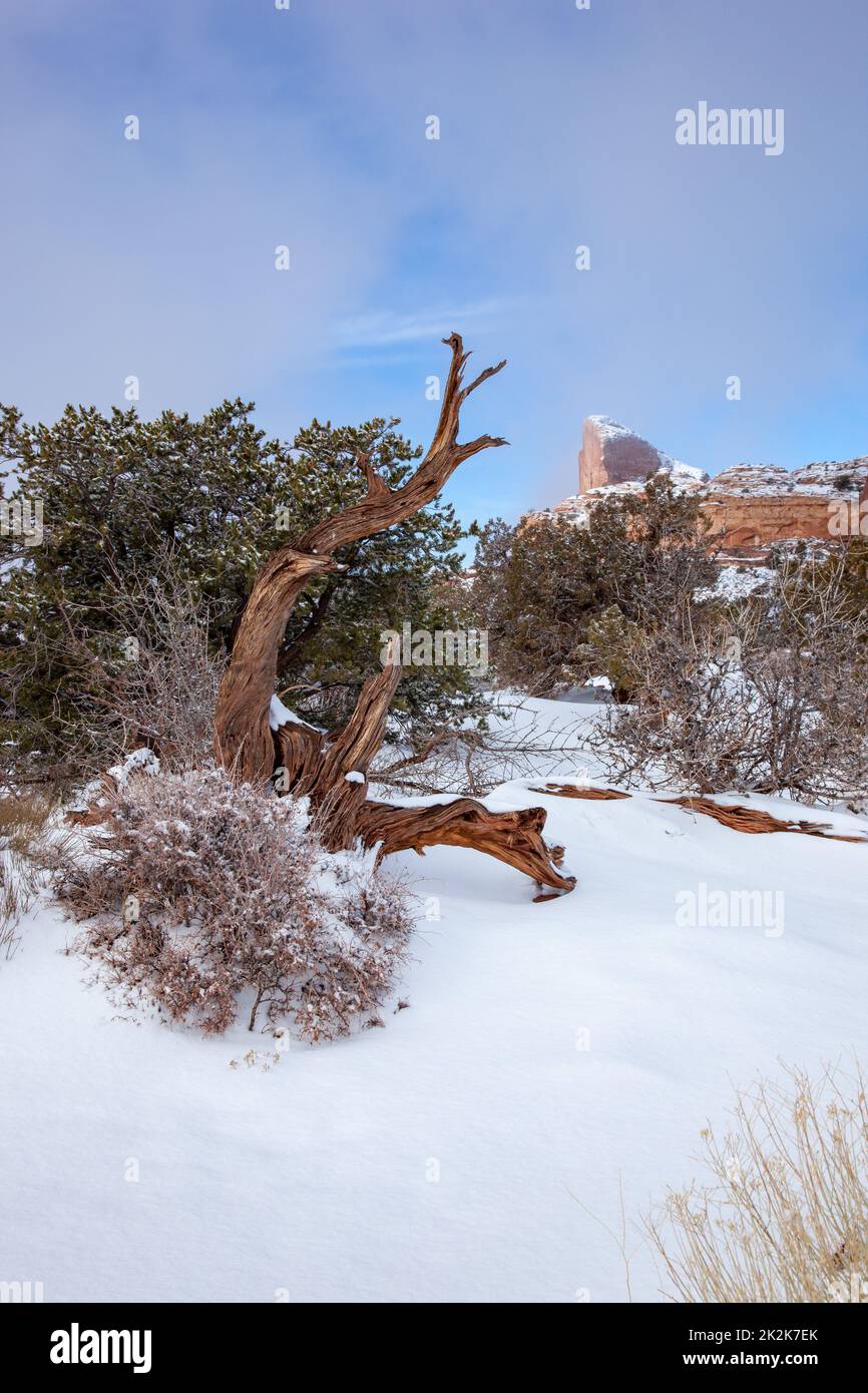 Winterschnee und niedrige Wolken am Green River Overlook im Canyonlands National Park, Utah. Stockfoto