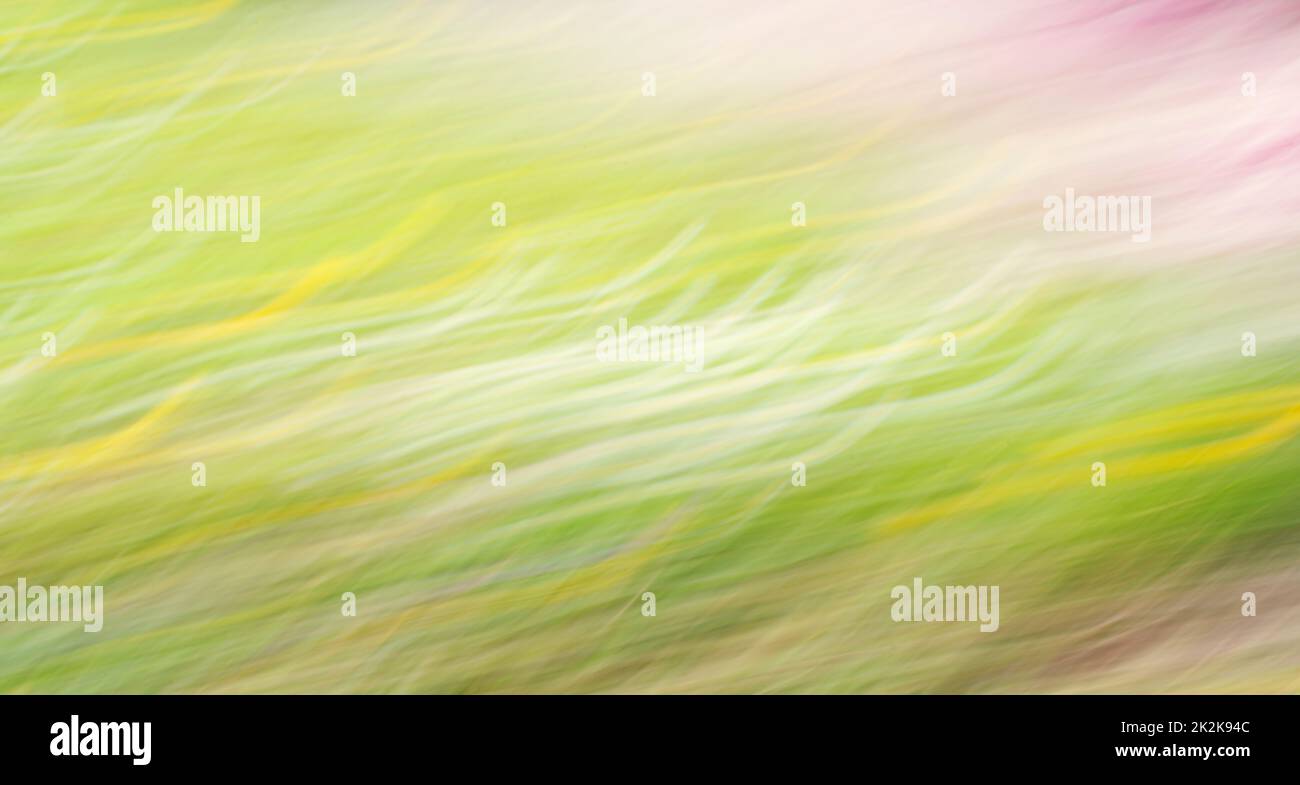 Weicher, verschwommener rosa und grüner Hintergrund, Frühling und Sommer, Pastellfarben, unscharfe abstrakte Textur, Grußkarte Stockfoto