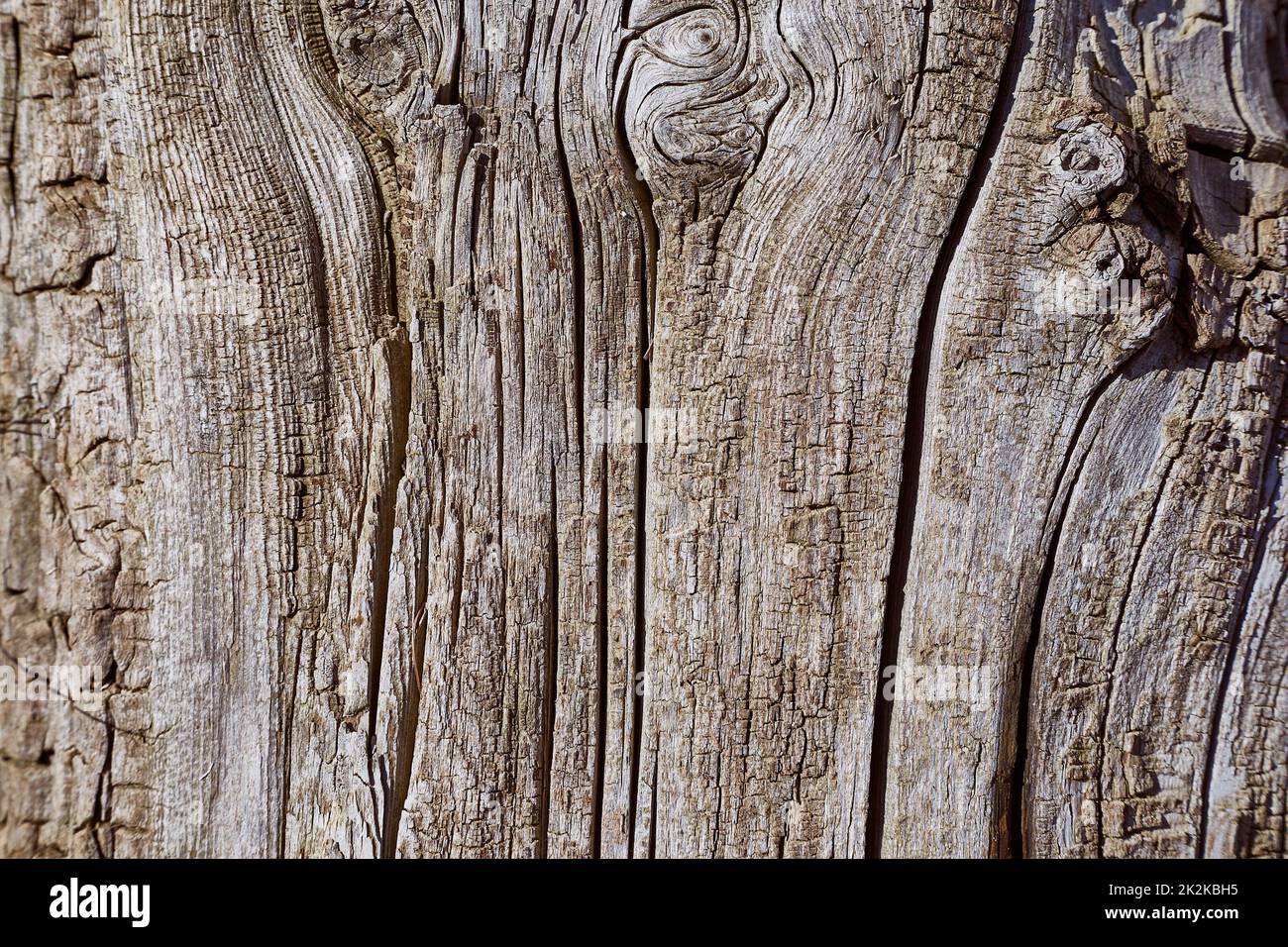 Alte Holz-Textur Stockfoto