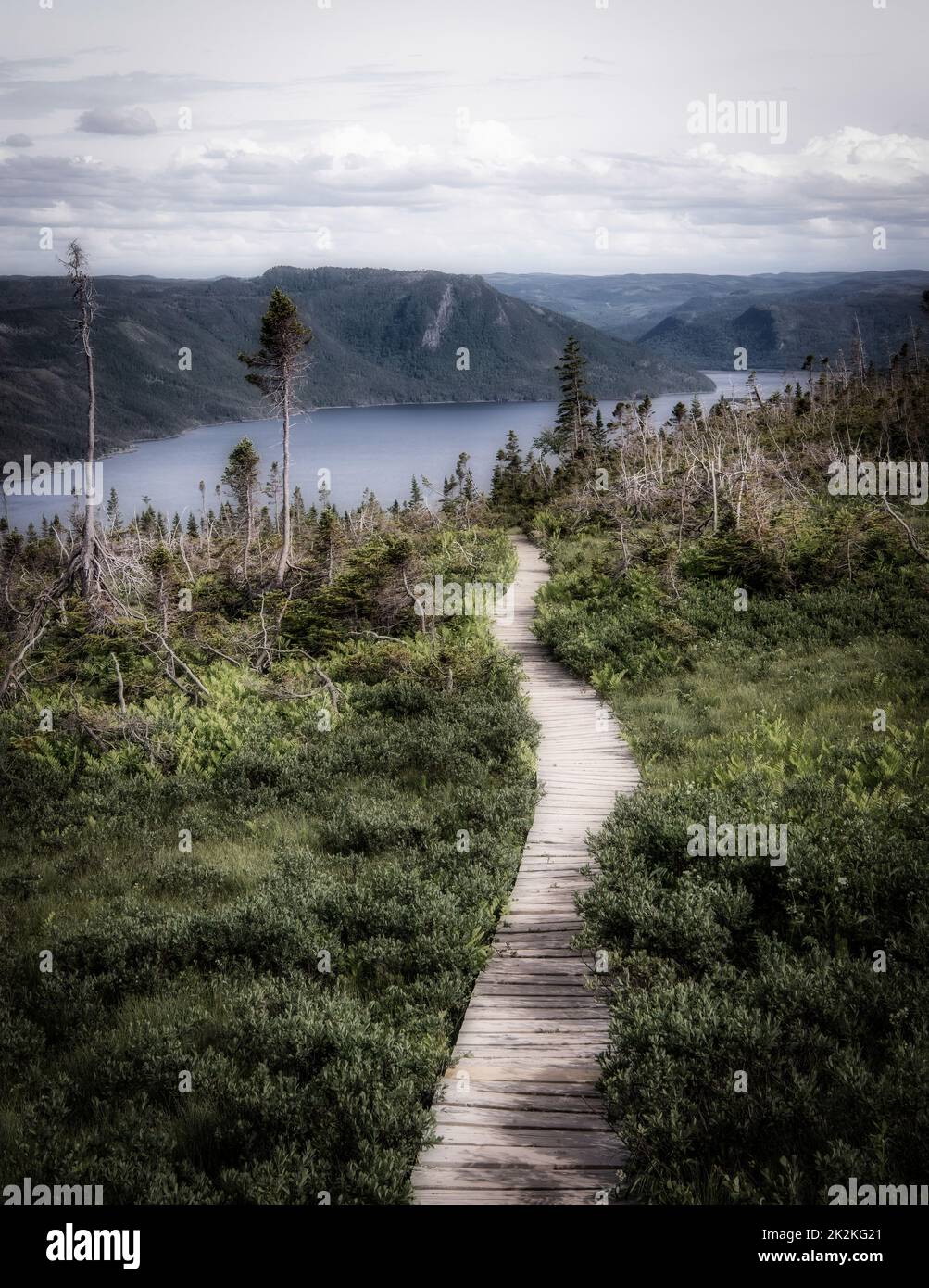 Kanadischer Boardwalk Trail in hoher Höhe Stockfoto