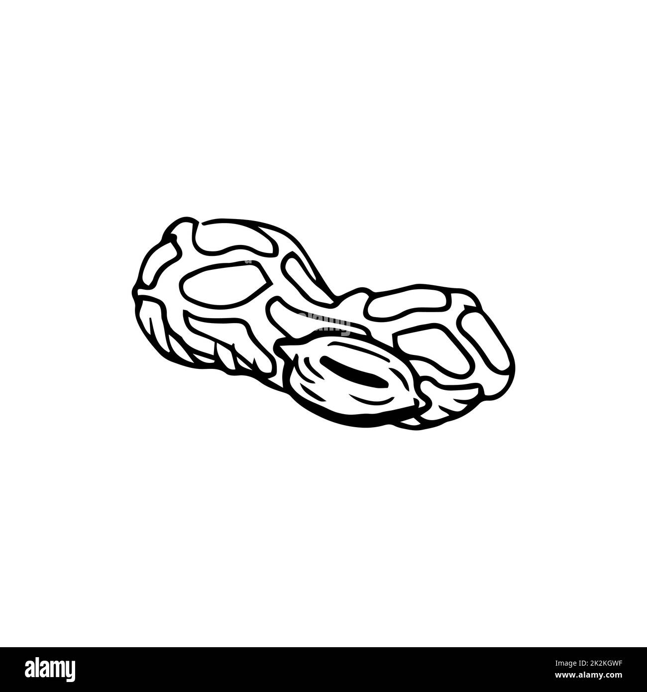 Nuss-Erdnuss-dünne schwarze Linien auf weißem Hintergrund - Vektor Stockfoto