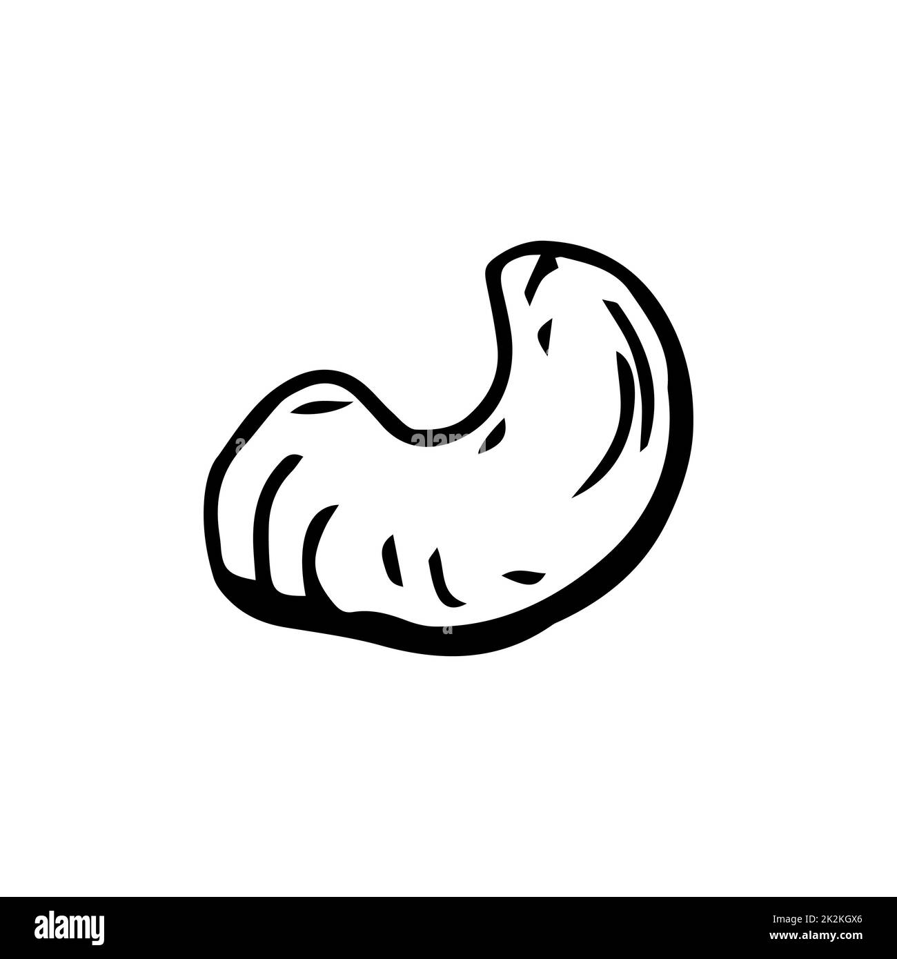 Kaschunüsse, dünne schwarze Linien auf weißem Hintergrund - Vektor Stockfoto