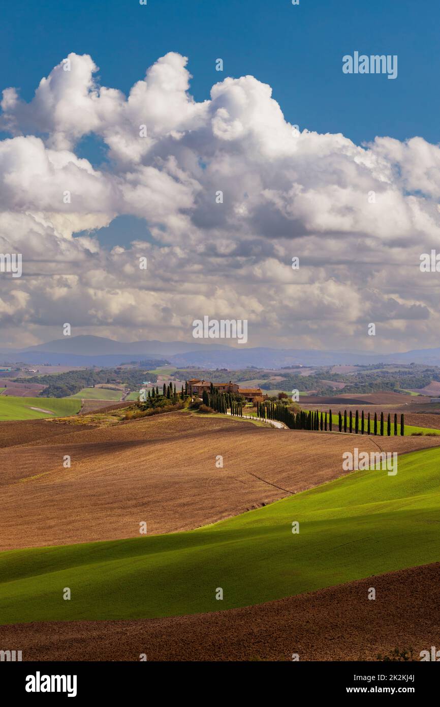 Typische toskanische Landschaft in der Nähe von Siena, Toskana, Italien Stockfoto