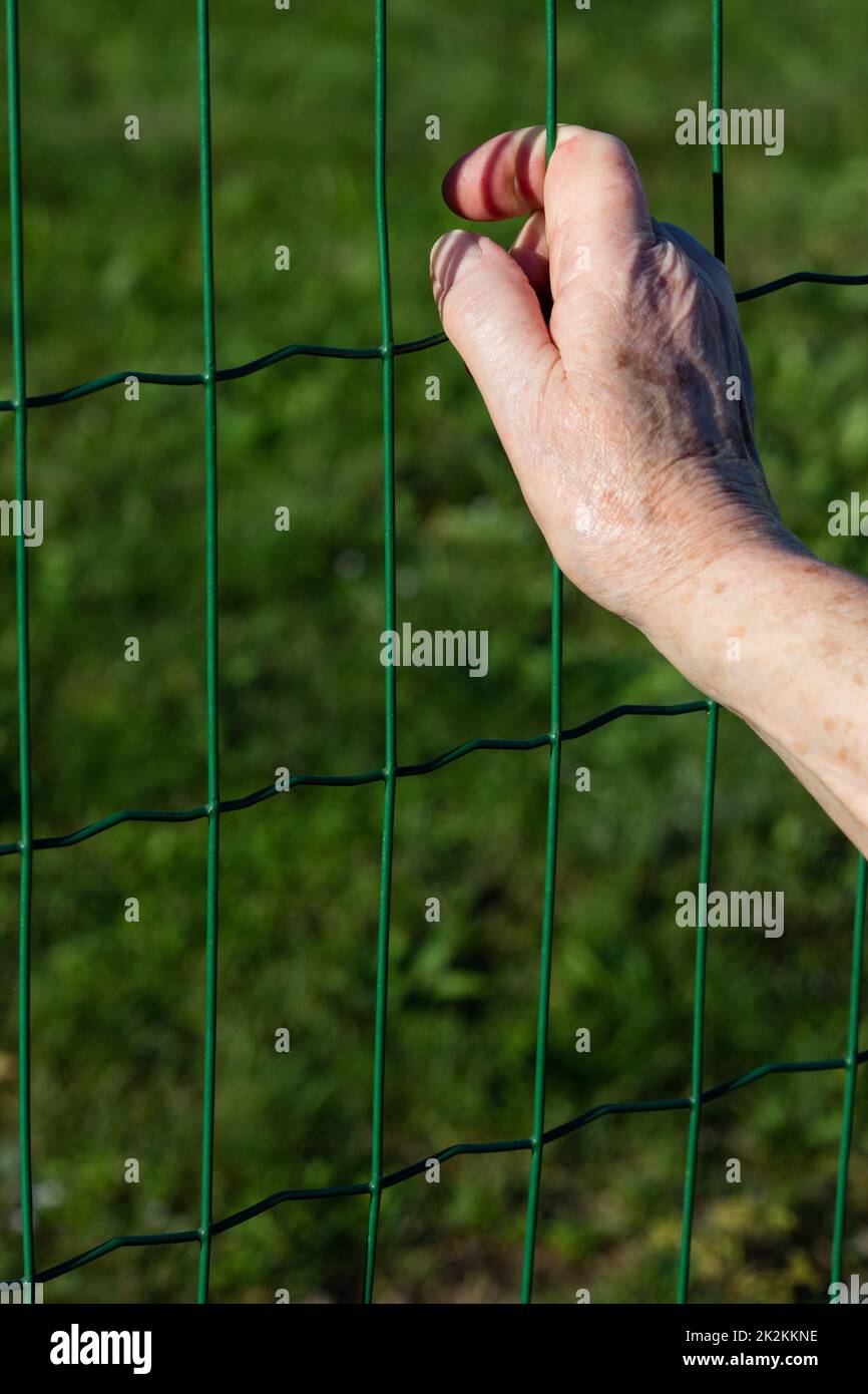 Die Hand einer alten Frau auf einem Zaun Stockfoto