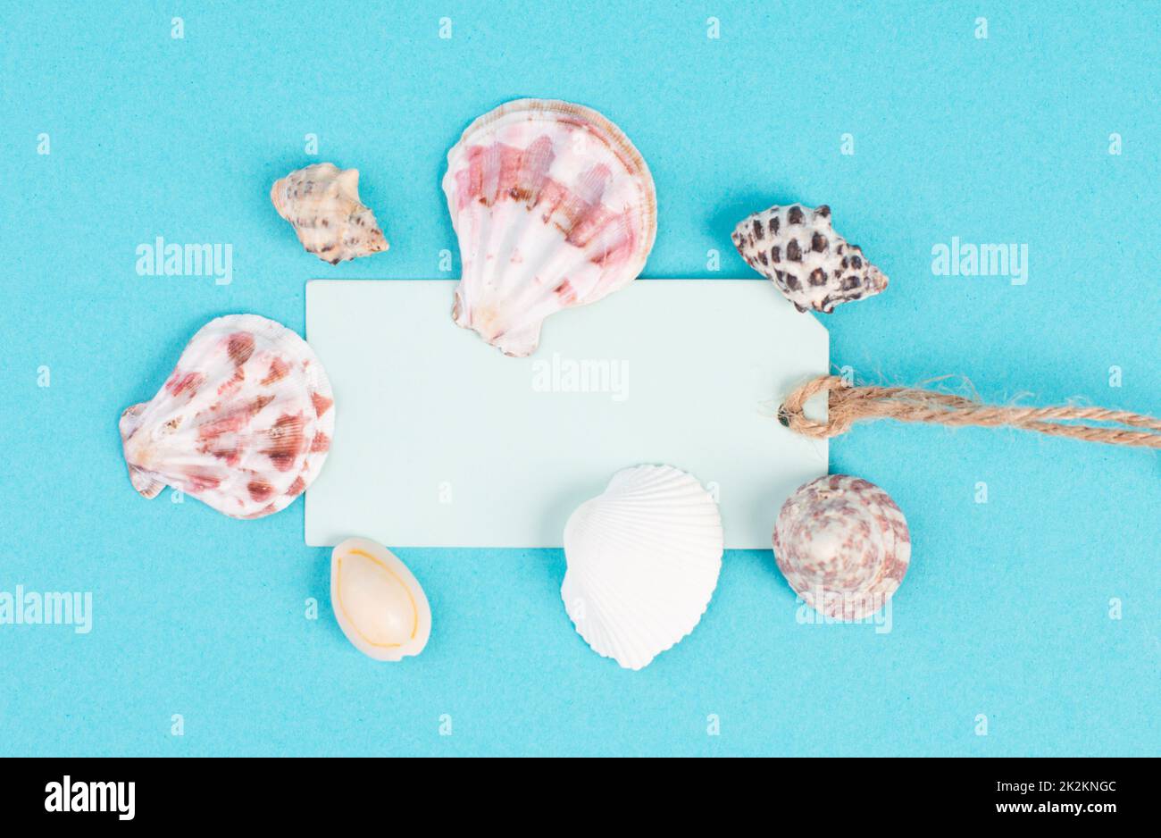 Leeres Papier mit Muscheln, Ferien- und Sommerhintergrund, Urlaubsanzeigenkonzept Stockfoto