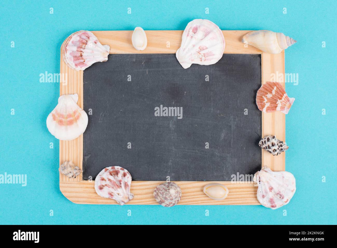 Leere Tafel mit Muschelschalen, Urlaubs- und Sommerhintergrund, Reisekonzept für Urlaubswerbung Stockfoto